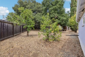 Francine Ct-S1808-039.jpg