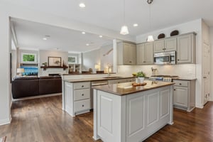 Ashley Ct-1705-013.jpg