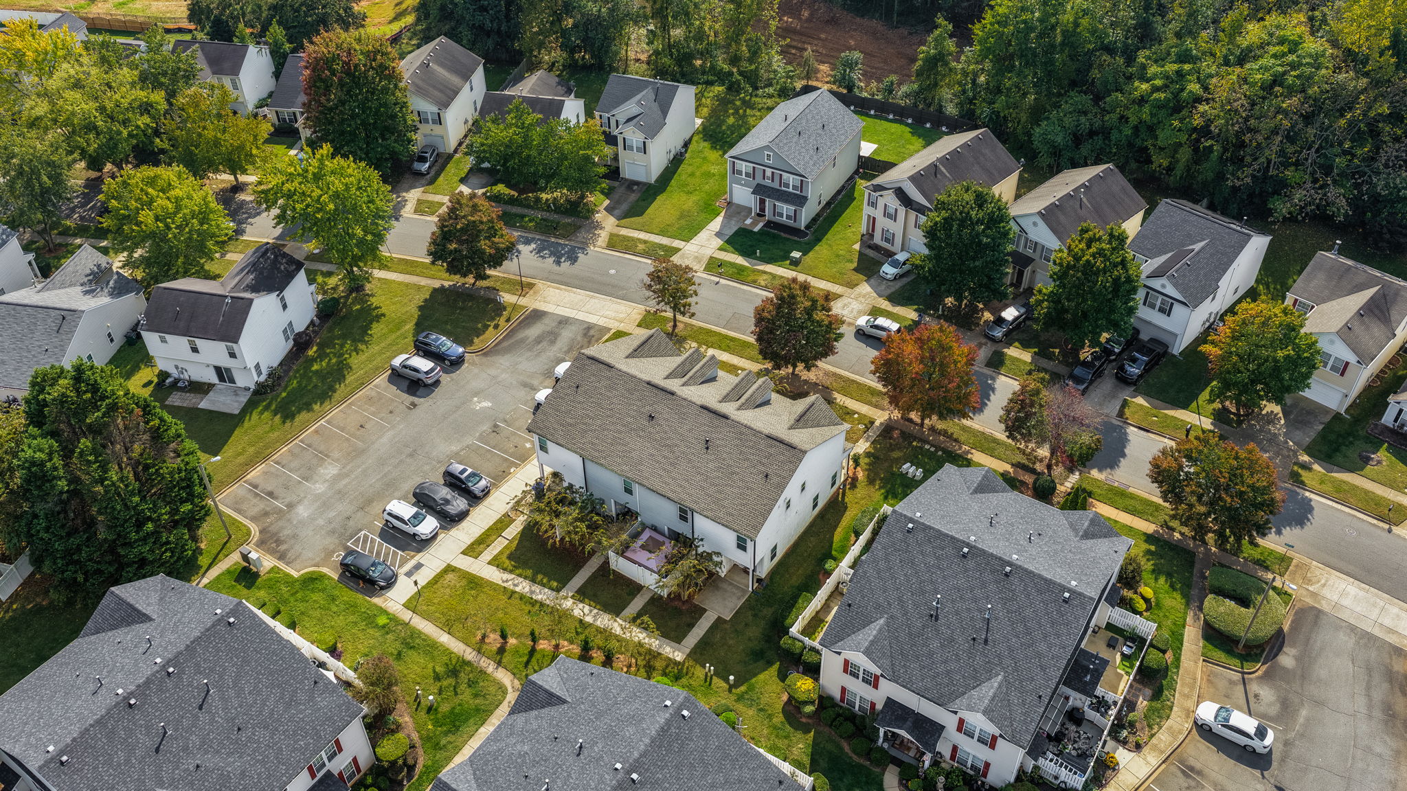 1157 Triece Ln-38