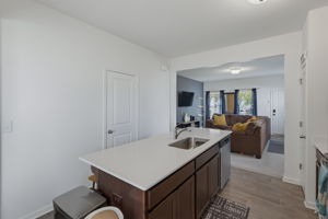1157 Triece Ln-14