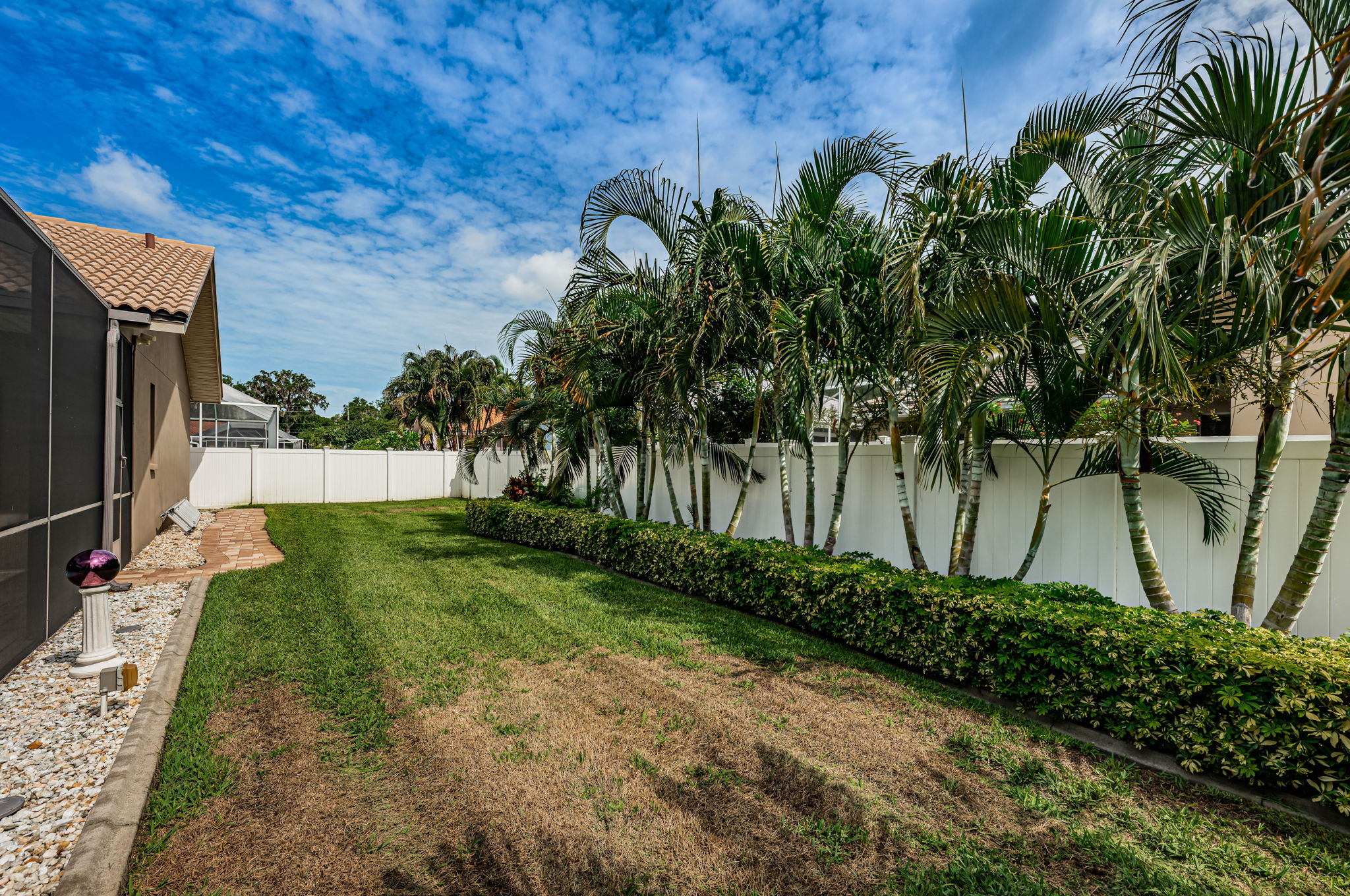 Backyard 2