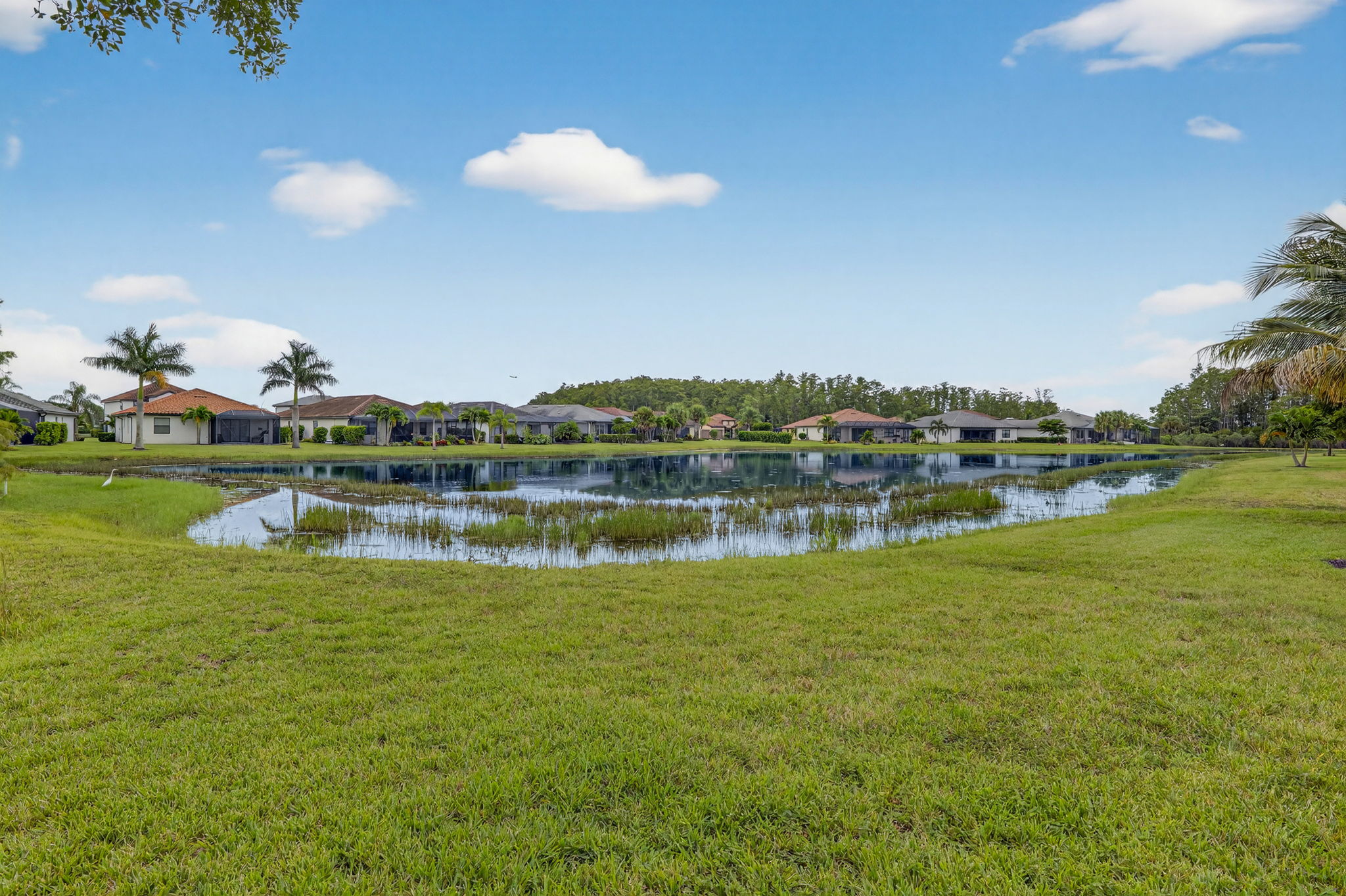 Rear Exterior 1 of 2