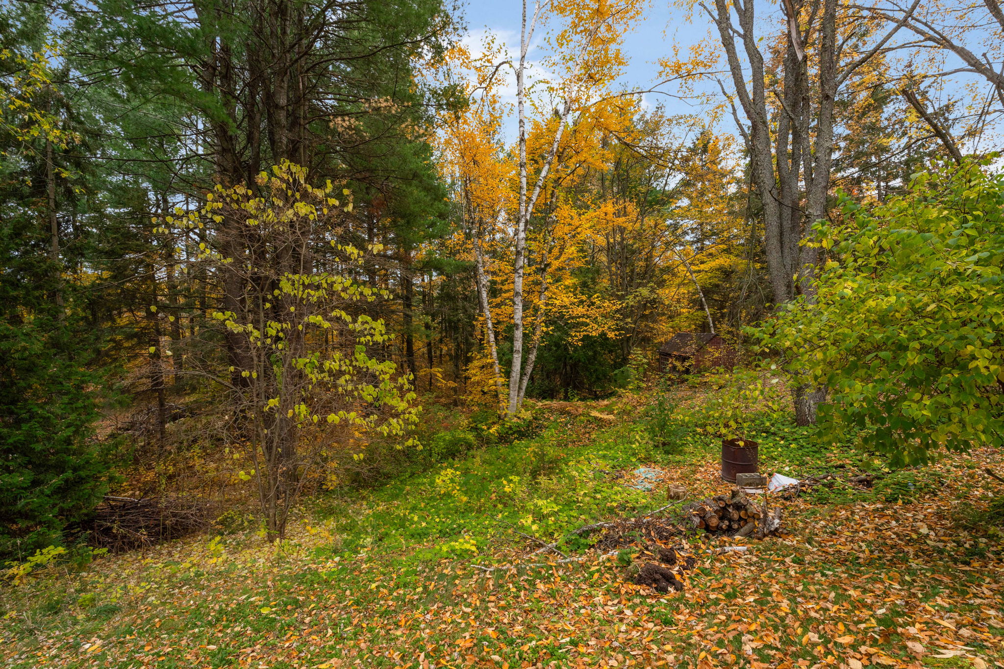  Photo 43