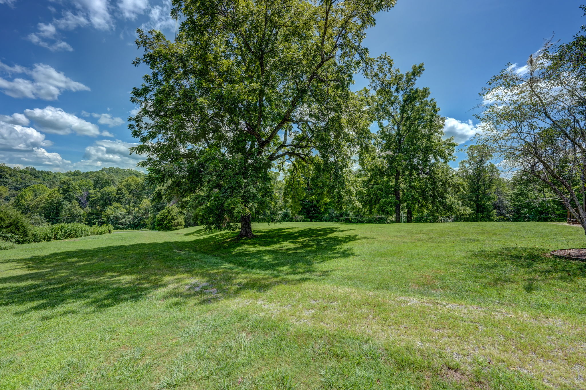 Front Yard