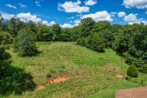 Pasture - Field