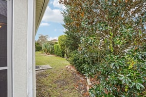 Isle Of Palms Path-S0212-041.jpg