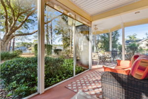 Back Screen In Porch