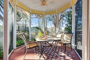 Back Screen In Porch