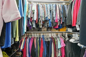 Primary Bedroom Closet