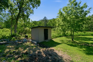  Photo 41