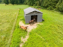  Photo 44