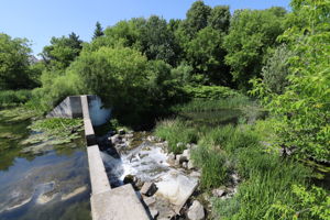  Photo 38