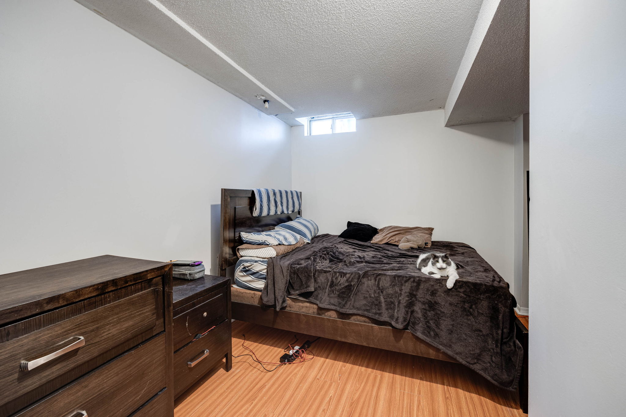 Brampton property showcase — delivered property photograph 41