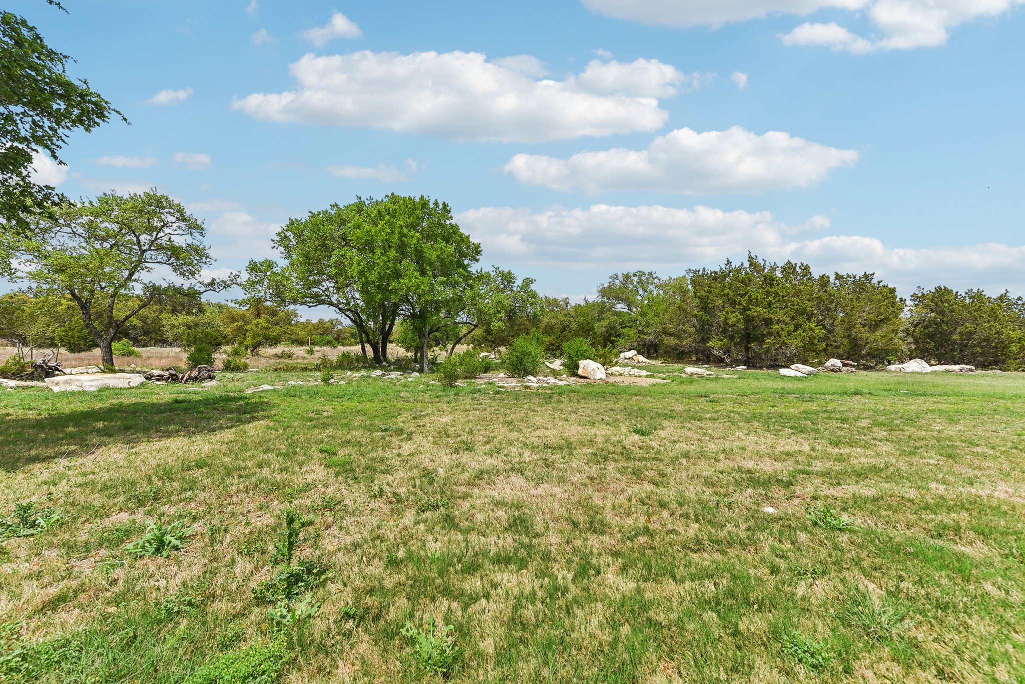 Tranquility Trails-04042025-058.jpg
