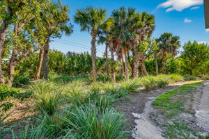 Rear Exterior 2 of 3