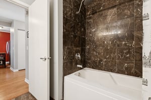 S Michigan Ave 1504-S1803-021.jpg