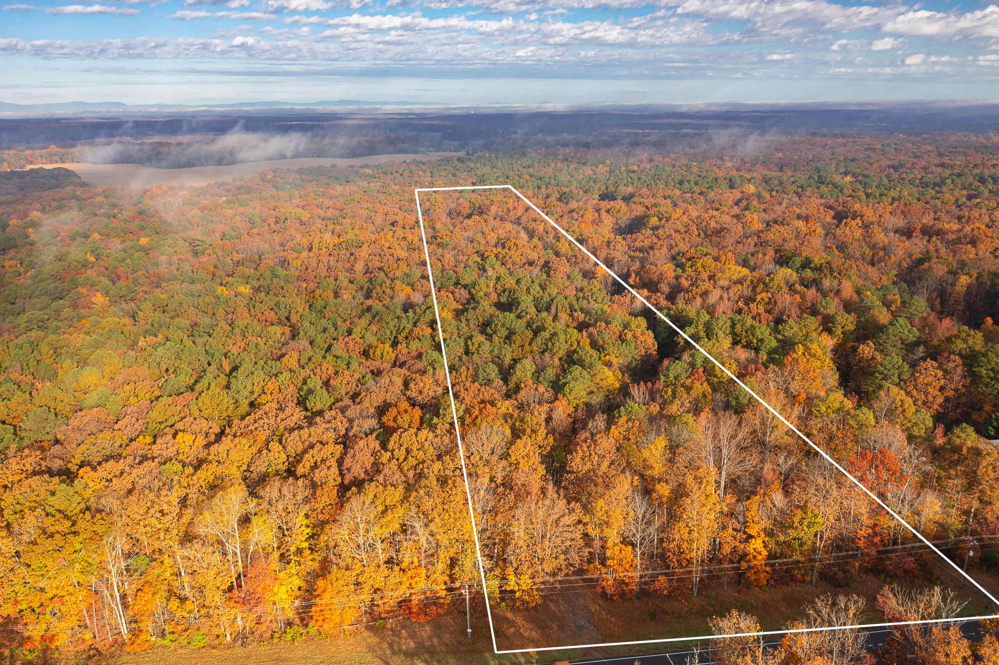 11601 Orange Plank Rd, Locust Grove, VA 22508 Jason Buttram Photography