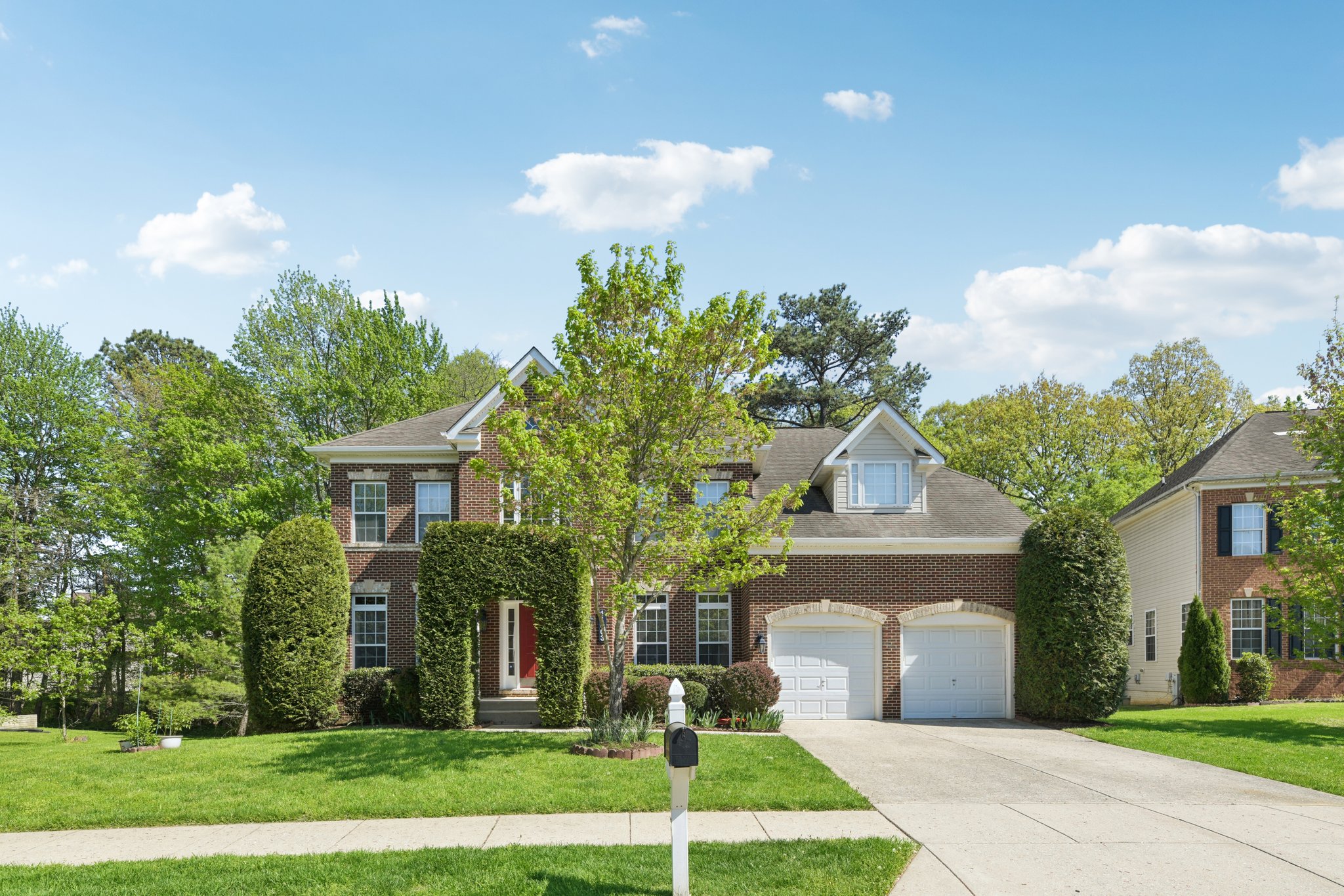 Brigit Ct-S1704-002.jpg