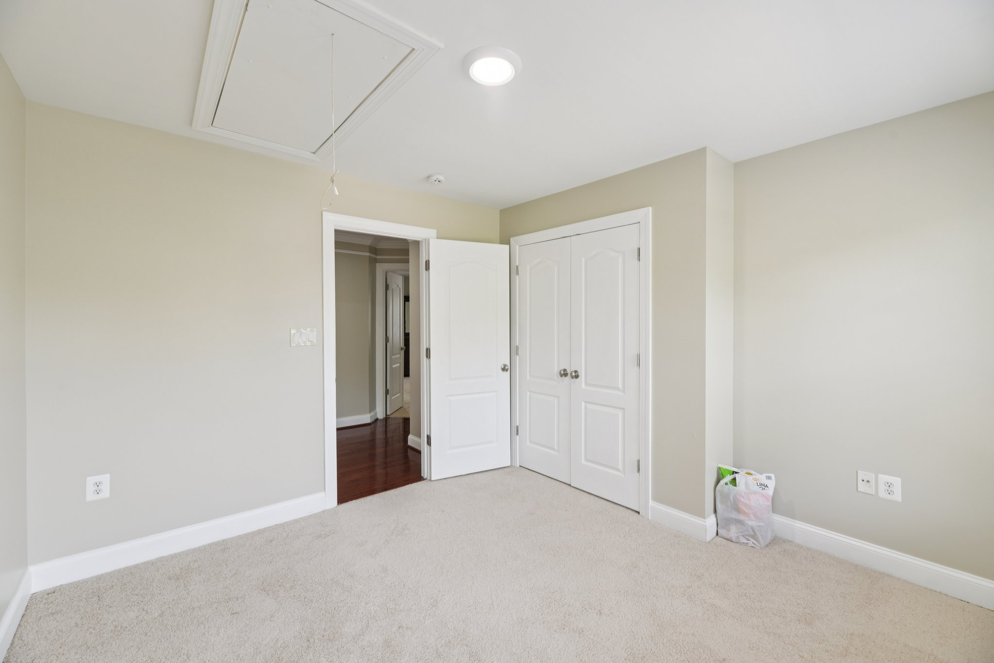 Brigit Ct-S1704-045.jpg