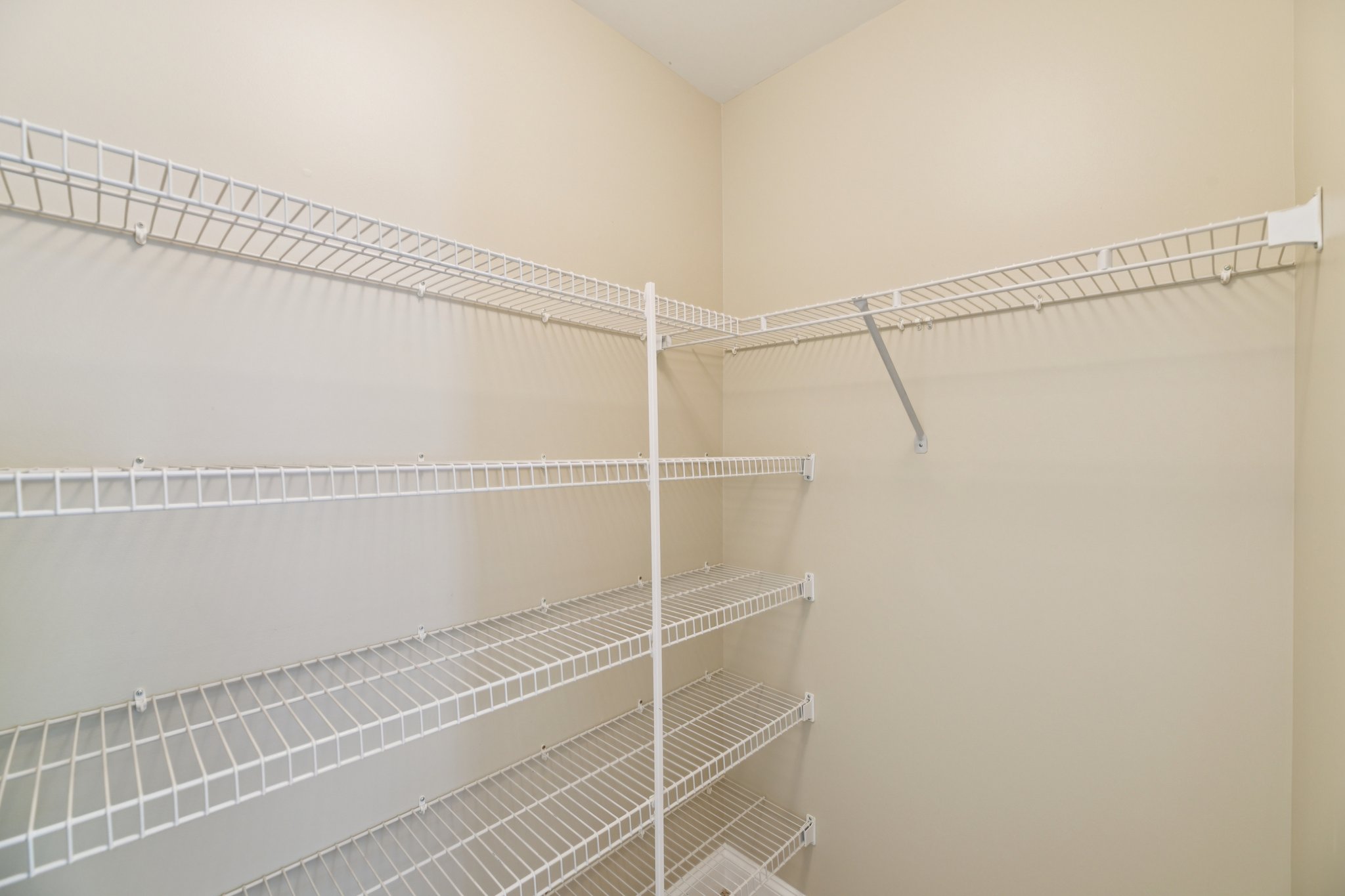 Brigit Ct-S1704-066.jpg