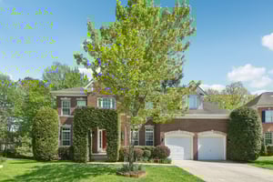 Brigit Ct-S1704-001.jpg