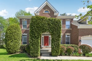 Brigit Ct-S1704-005.jpg