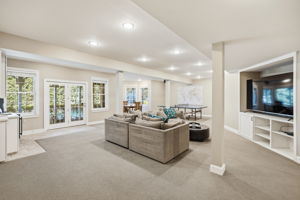 Walk Out Lower Level Recreation Area