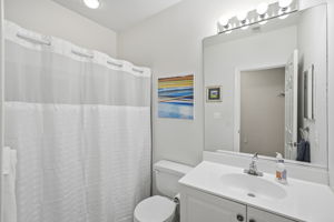 Lower Level Bathroom