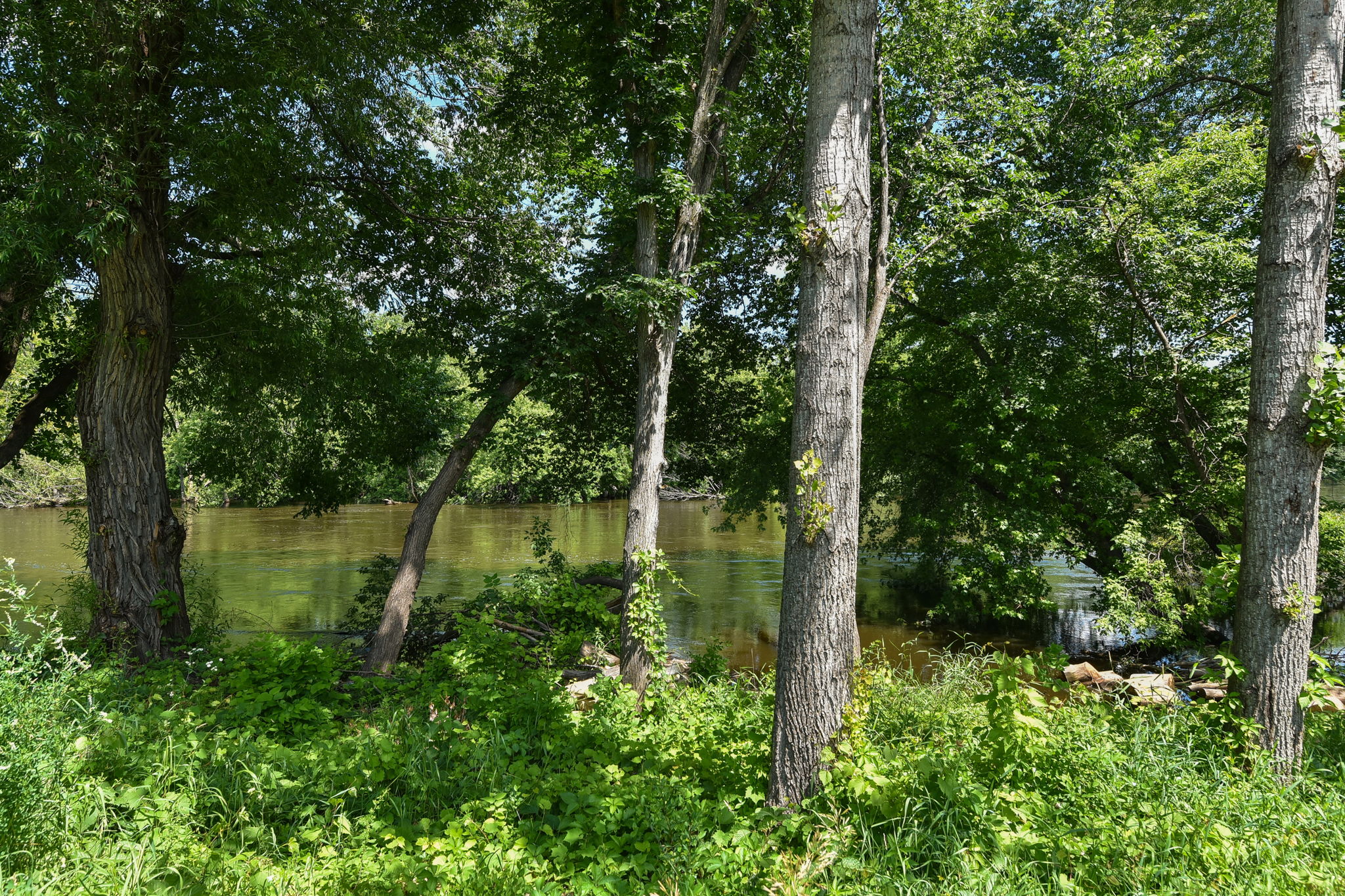  Photo 47