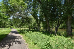  Photo 45