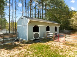 3 Stall barn with dutch doors and large runs: power/ water/ ceiling fans/ cameras, 2 large pastures attached to runs.