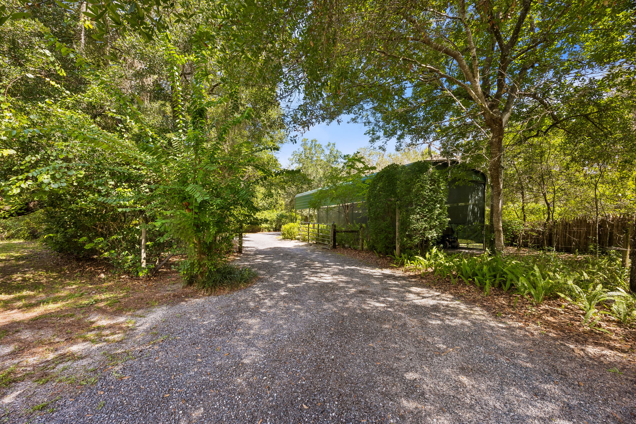 Driveway