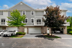 1161 Orangery Ct, Carol Stream, IL 60188_001