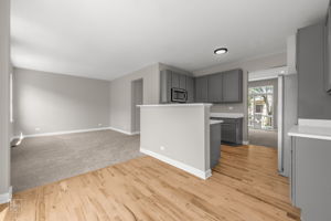 1161 Orangery Ct, Carol Stream, IL 60188_004