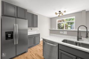 1161 Orangery Ct, Carol Stream, IL 60188_006
