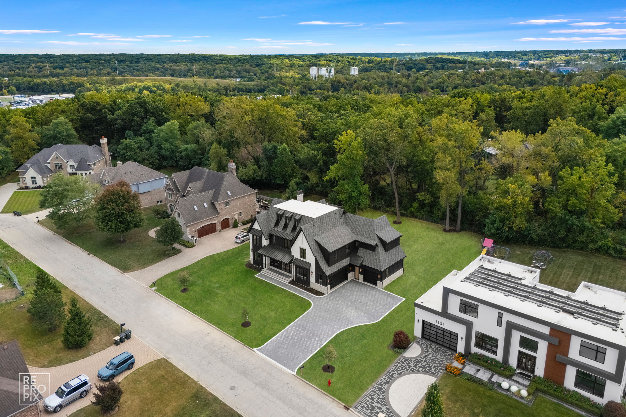 161 Secret Forest Dr, Burr Ridge, IL 60527_002
