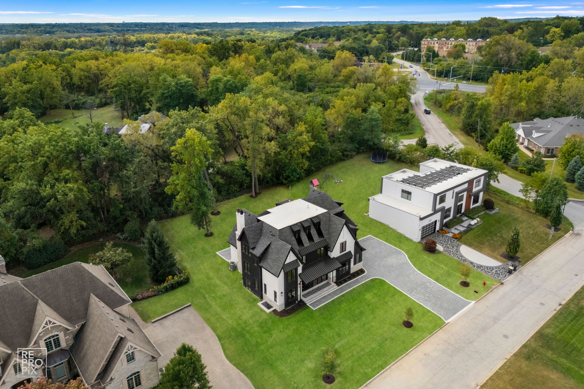 161 Secret Forest Dr, Burr Ridge, IL 60527_003