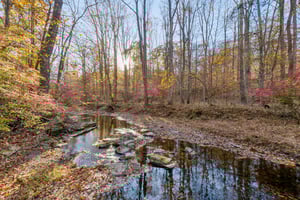 Scenic wooded setting with creek