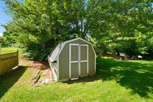  Photo 46