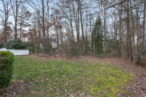 32-Backyard