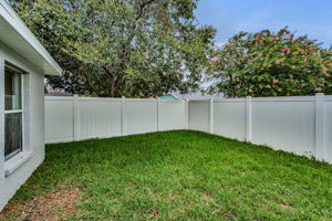 Backyard1