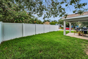 Backyard2
