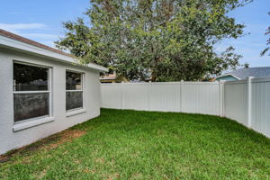 Backyard4
