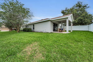 Backyard5