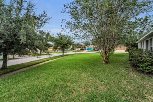 Frontyard