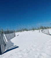 11619 Front Beach Rd, Panama City Beach, FL 32407, USA Photo 35