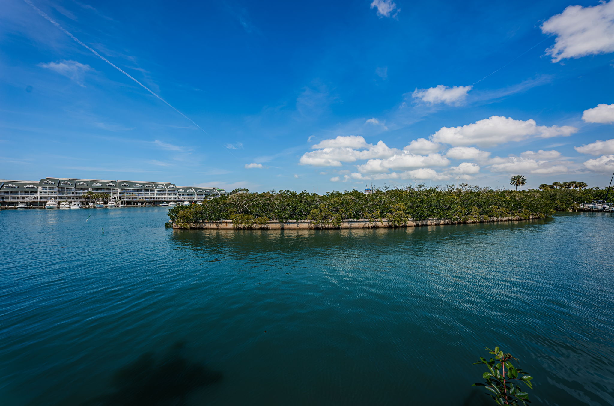 Clubhouse and Pool1o View