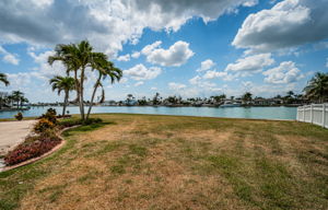 Backyard1