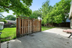  Photo 42