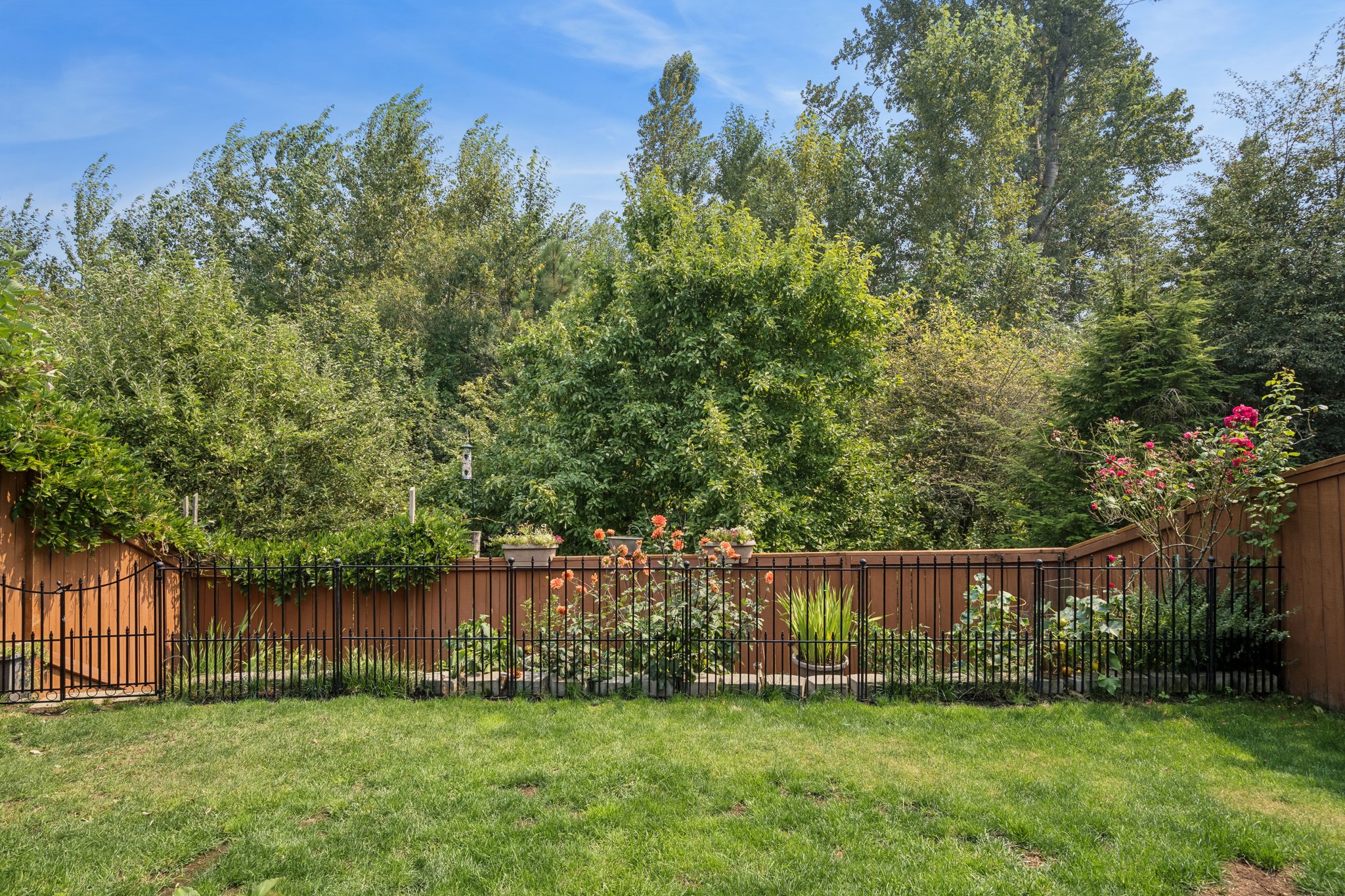 100.jpg